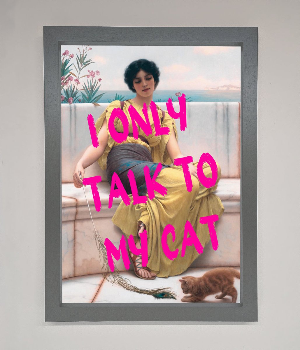I Only Talk To My Cat Framed Wall Art-4