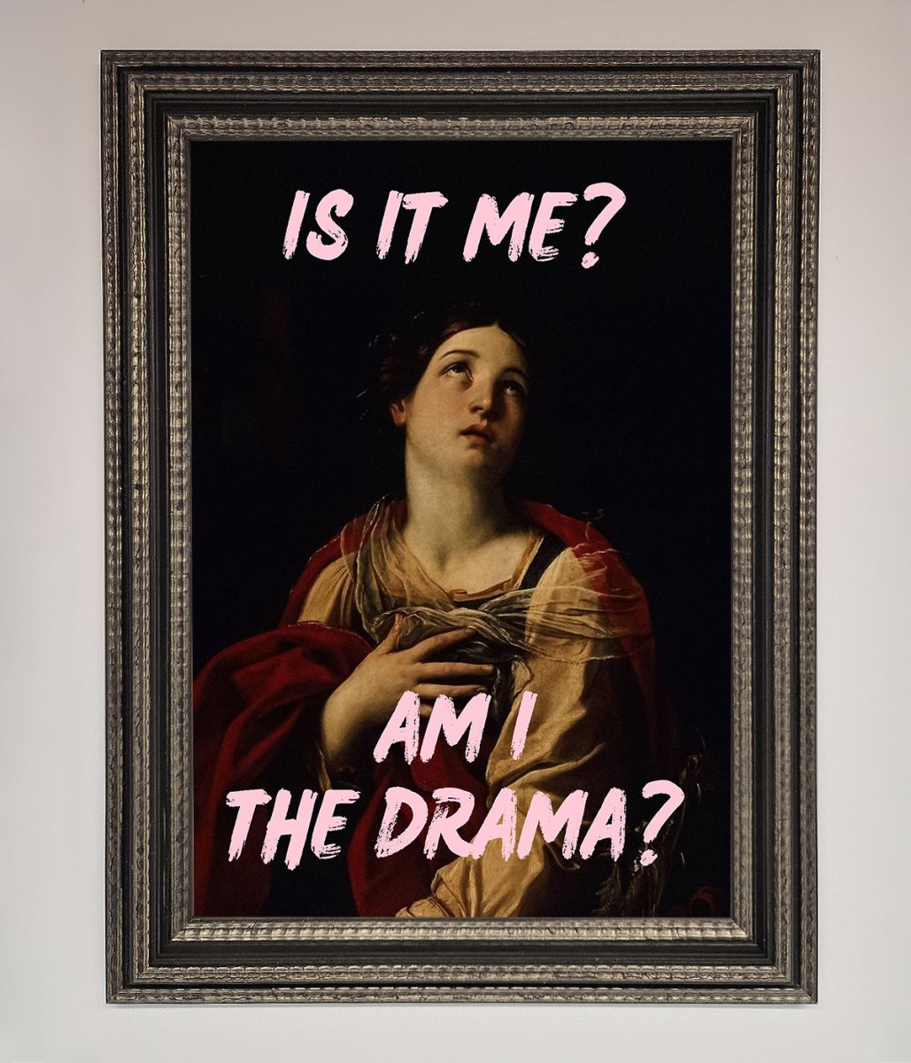 Is It Me Am I The Drama Framed Print-13