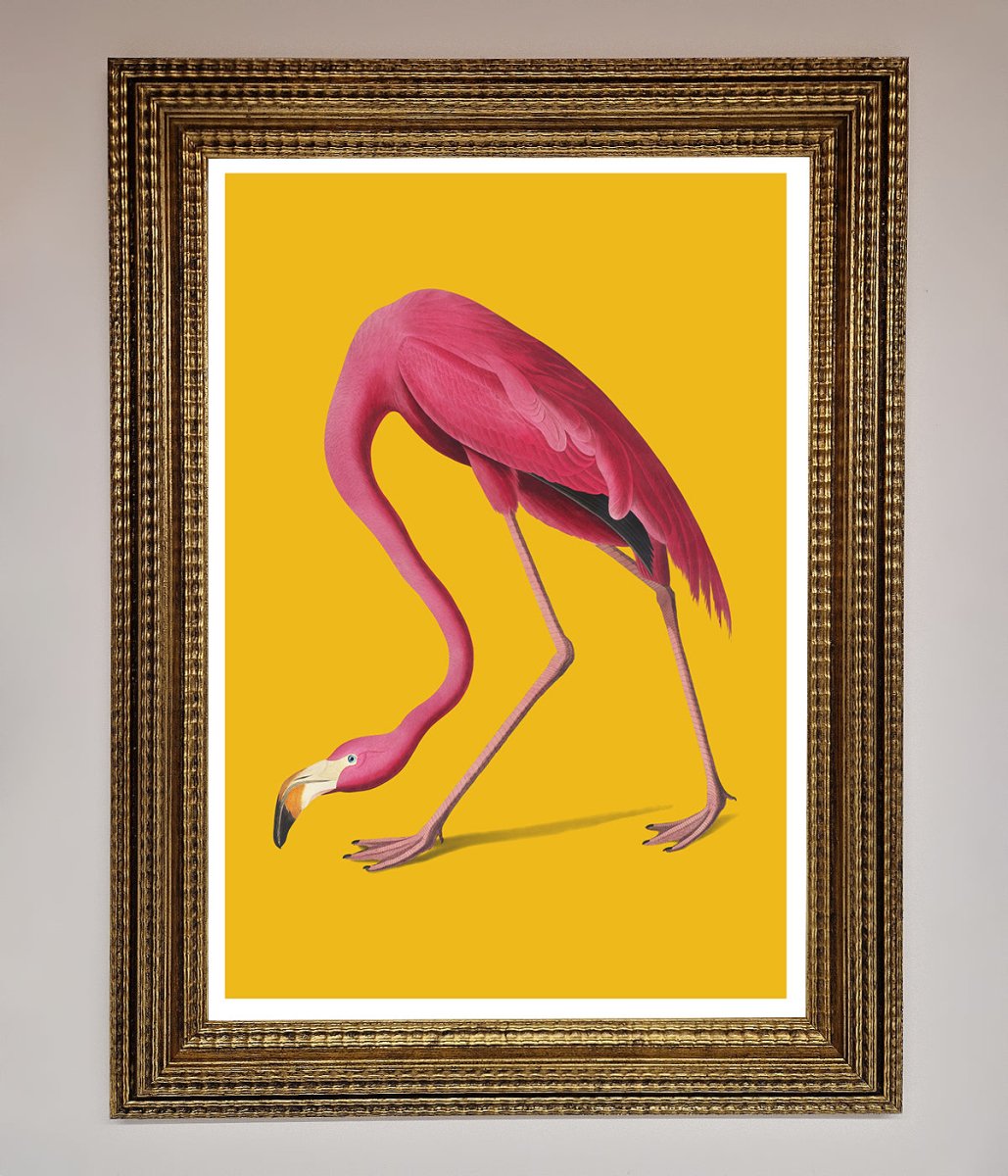 Pink Flamingo On Yellow Framed Print-15