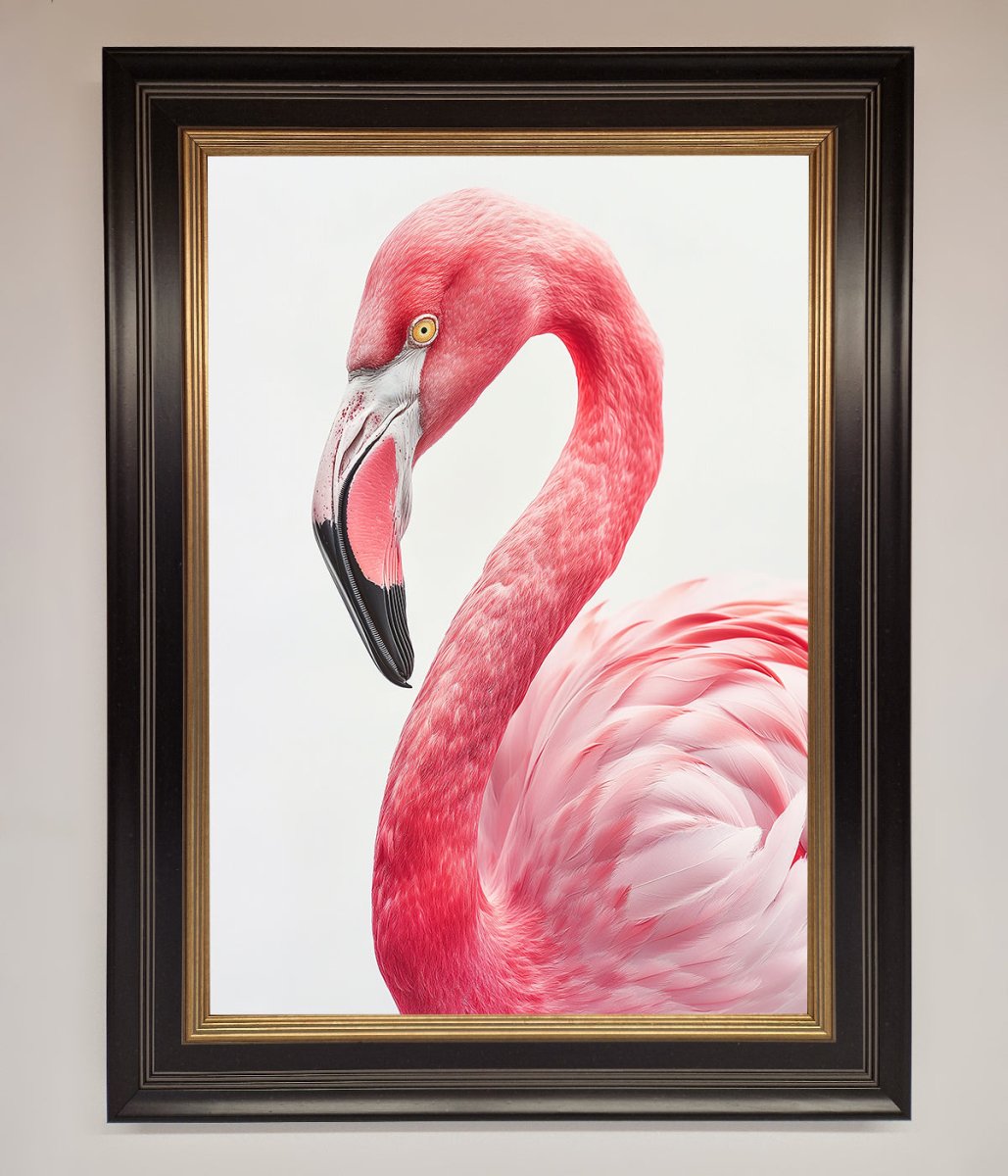 Pink Flamingo Stare Framed Print-9