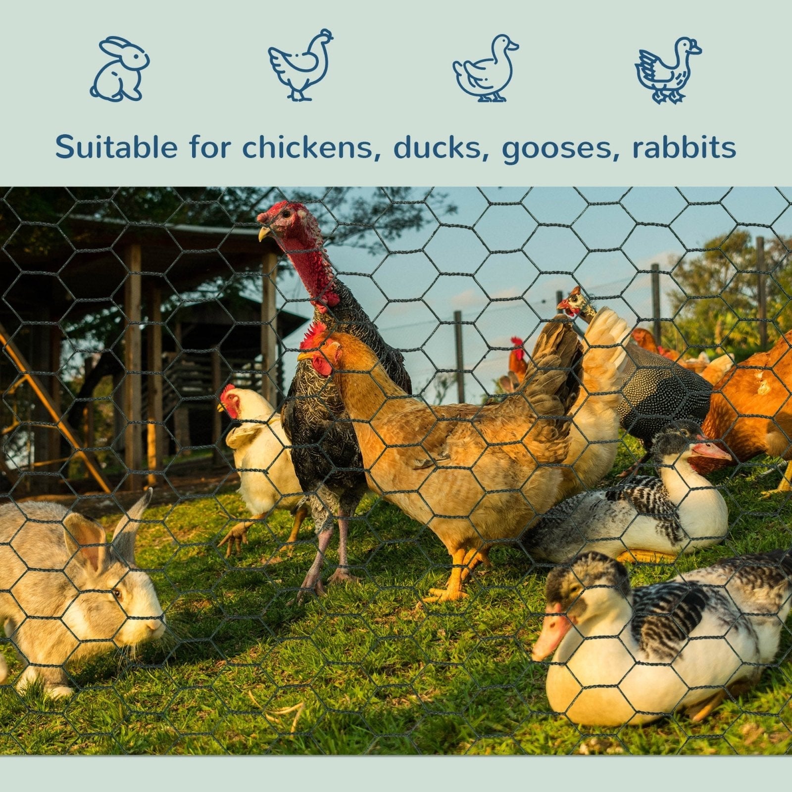 1m x 25m Chicken Wire Mesh, Foldable PVC Coated Welded Garden Fence, Roll Poultry Netting, for Rabbits, Ducks, Gooses, Dark Green-3