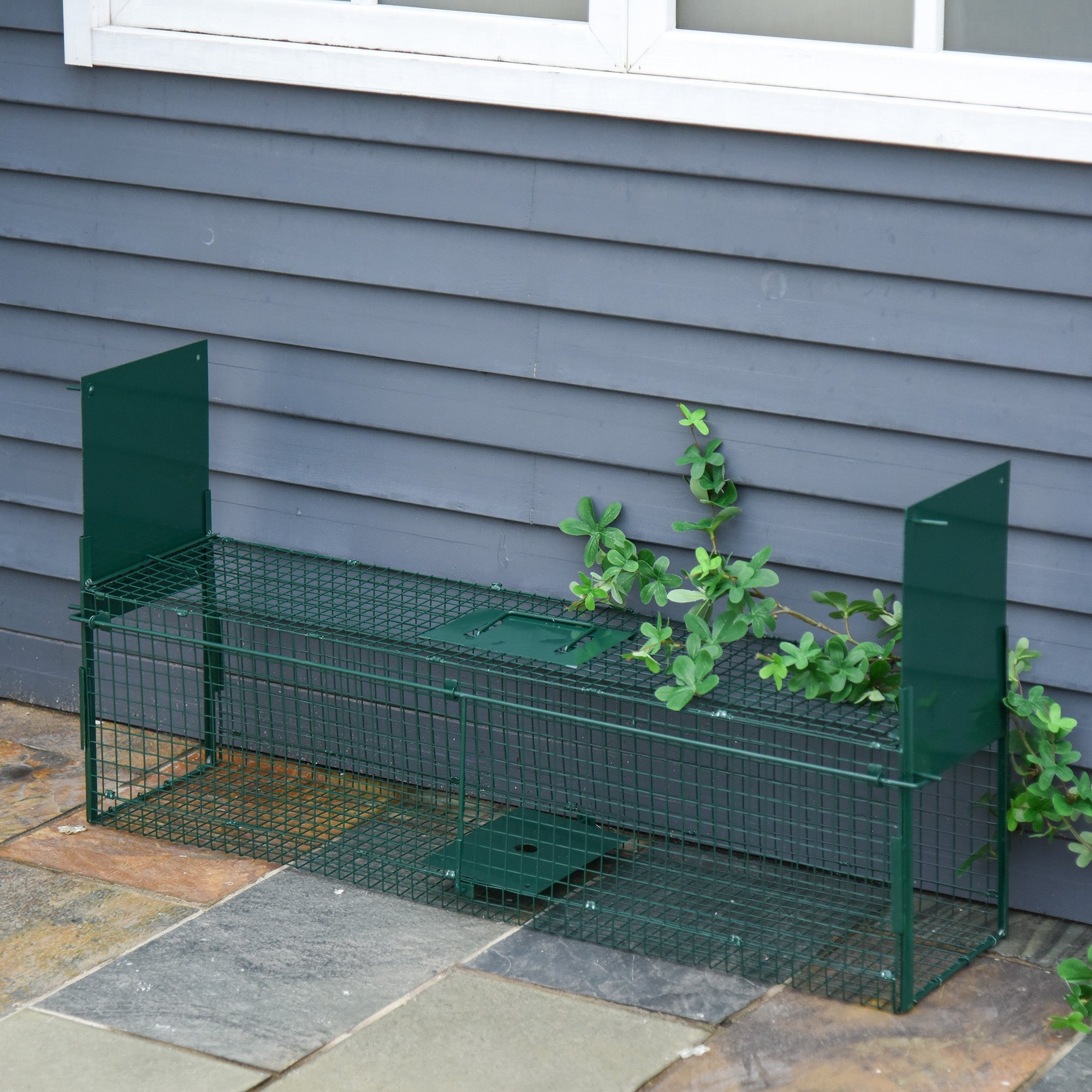 2-Door Humane Live Trap for Small Animals, Animal Trap for Rat Mise Mink Rabbit Raccoon Gopher Squirrel, Dark Green-1