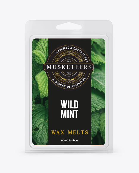 Wild Mint Wax Melts-0