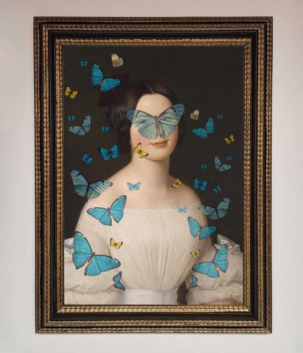Butterfly Renaissance Framed Print-18
