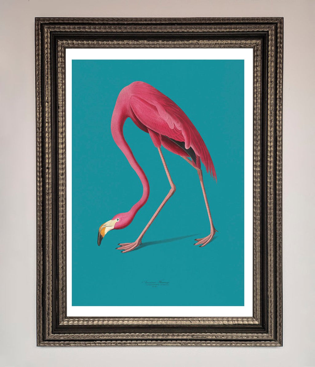 Flamingo Walks Blue Framed Print-17