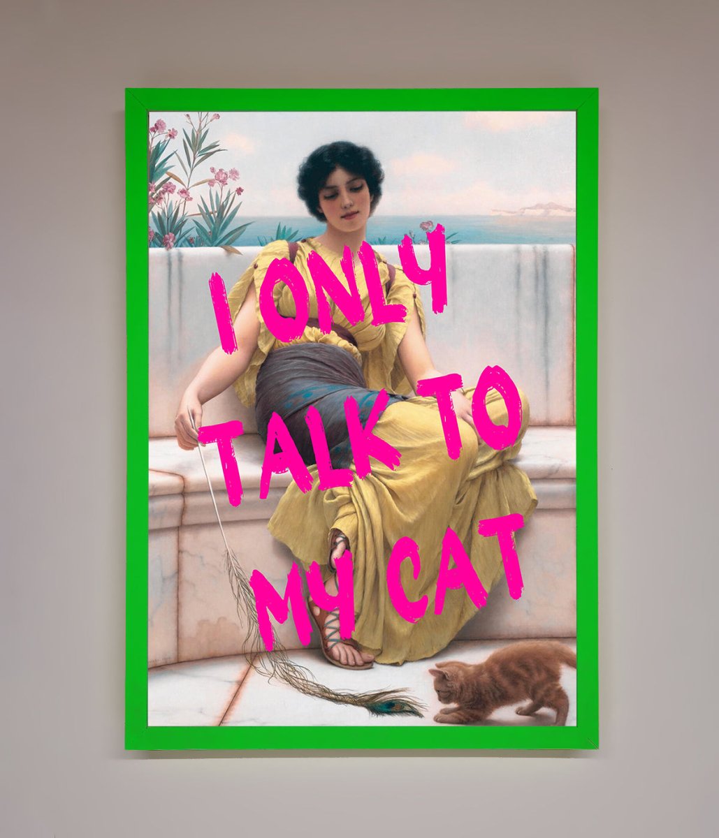 I Only Talk To My Cat Framed Wall Art-11