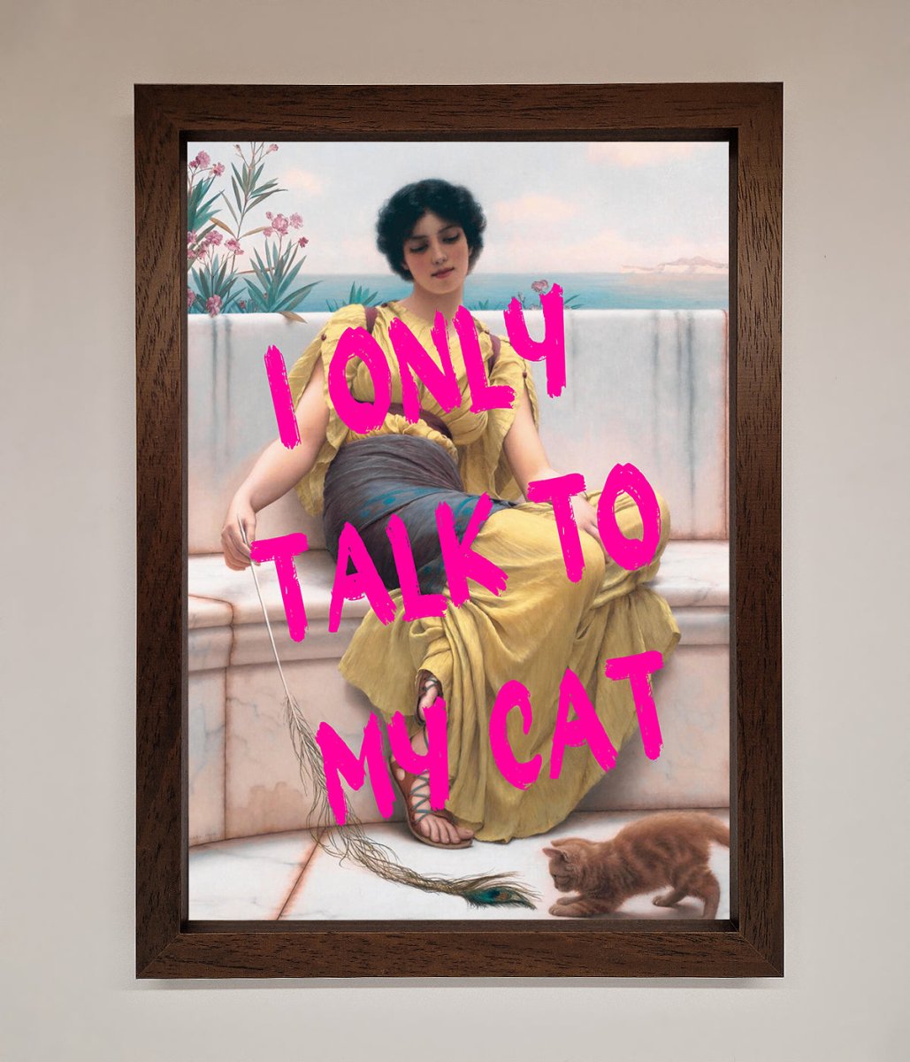 I Only Talk To My Cat Framed Wall Art-9