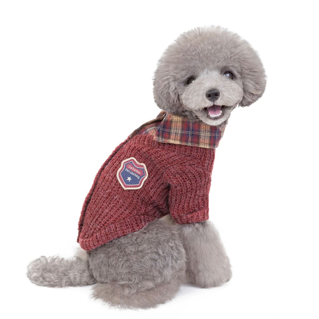 Professor by Doggy Doo Little-2