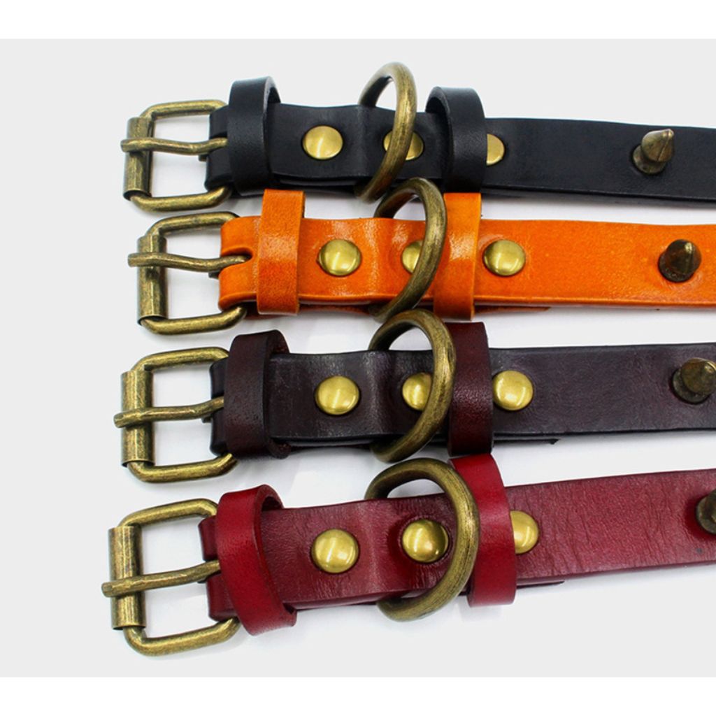 Black Spike Dog Collar - by Doggy Doo Little-2