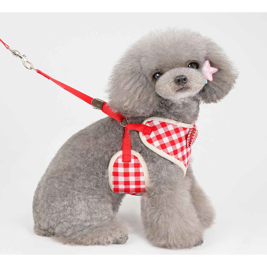 Red Bow Dog Harness (With Leash)-1