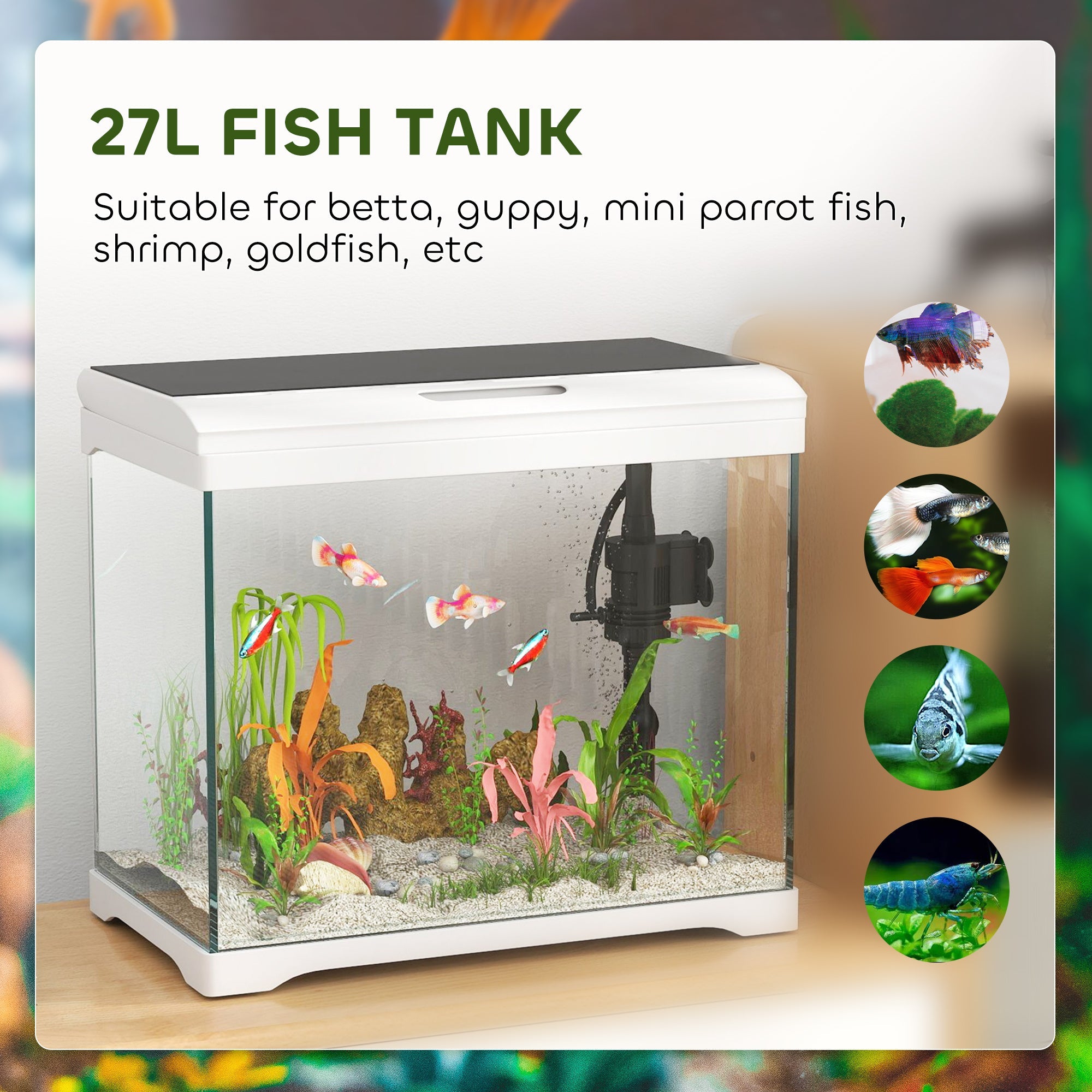 27L Glass Fish Tank with Filter System, LED Light, Water Pump, for Betta, Goldfish, Shrimps, White-4