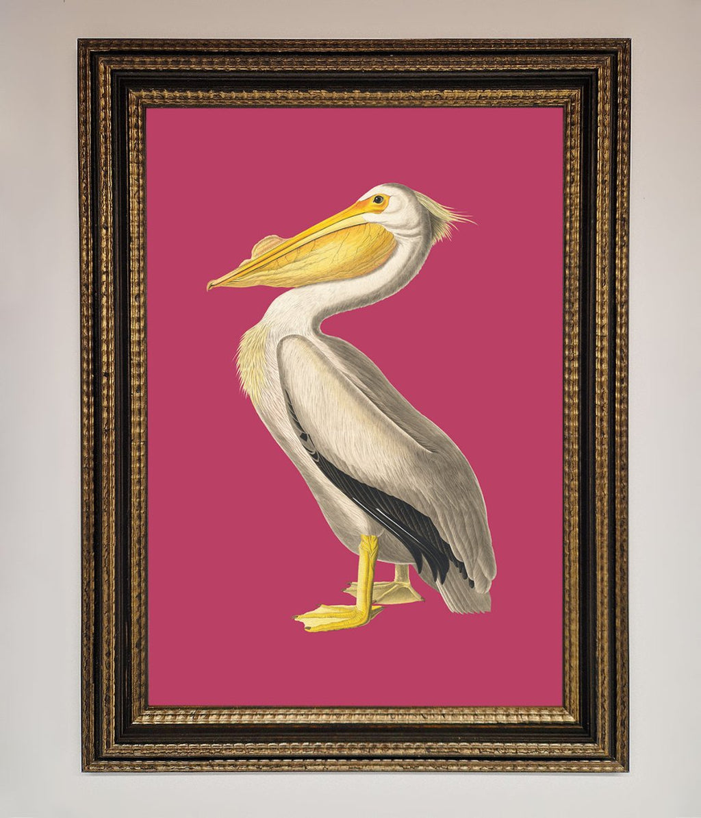Pelican On Pink Framed Poster-18
