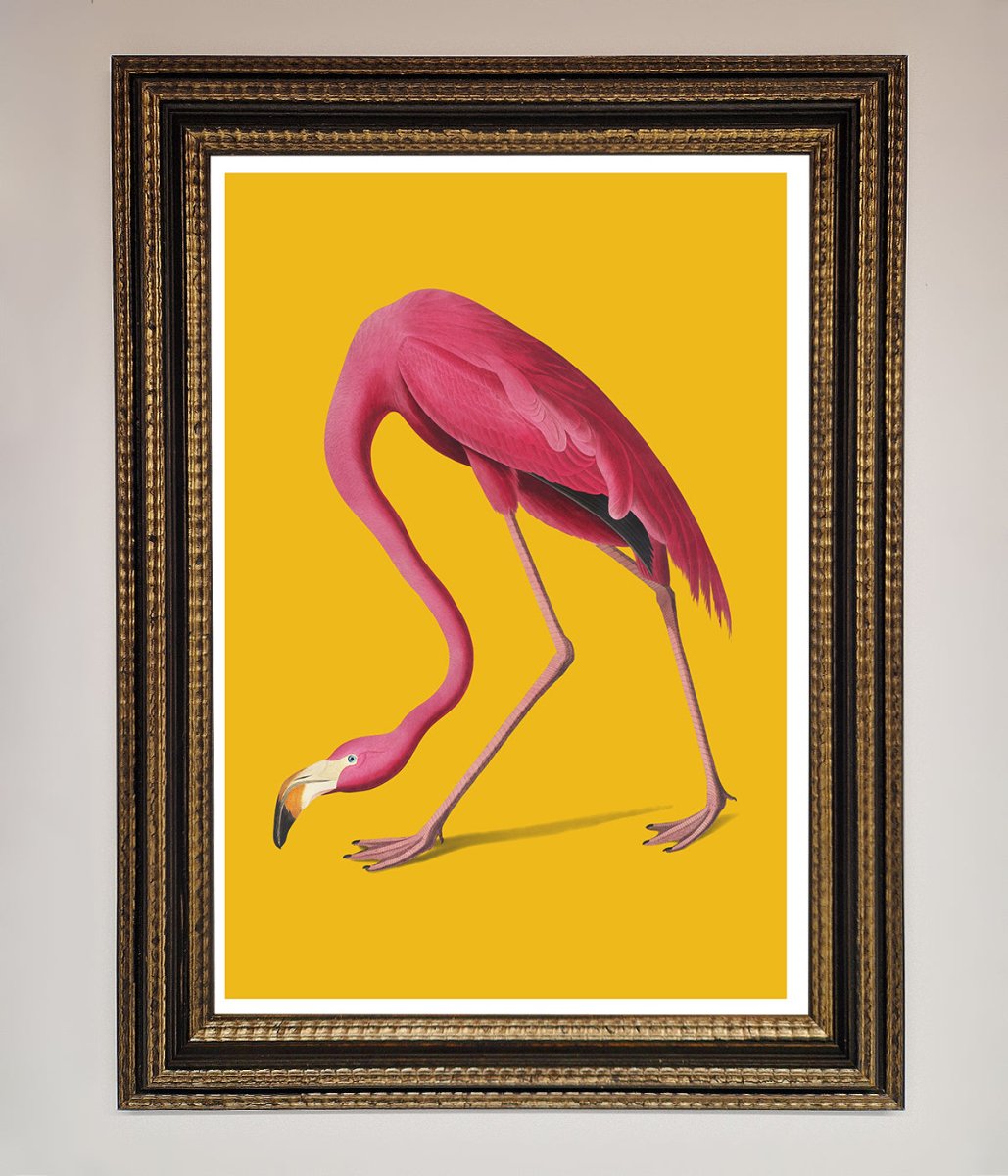 Pink Flamingo On Yellow Framed Print-18