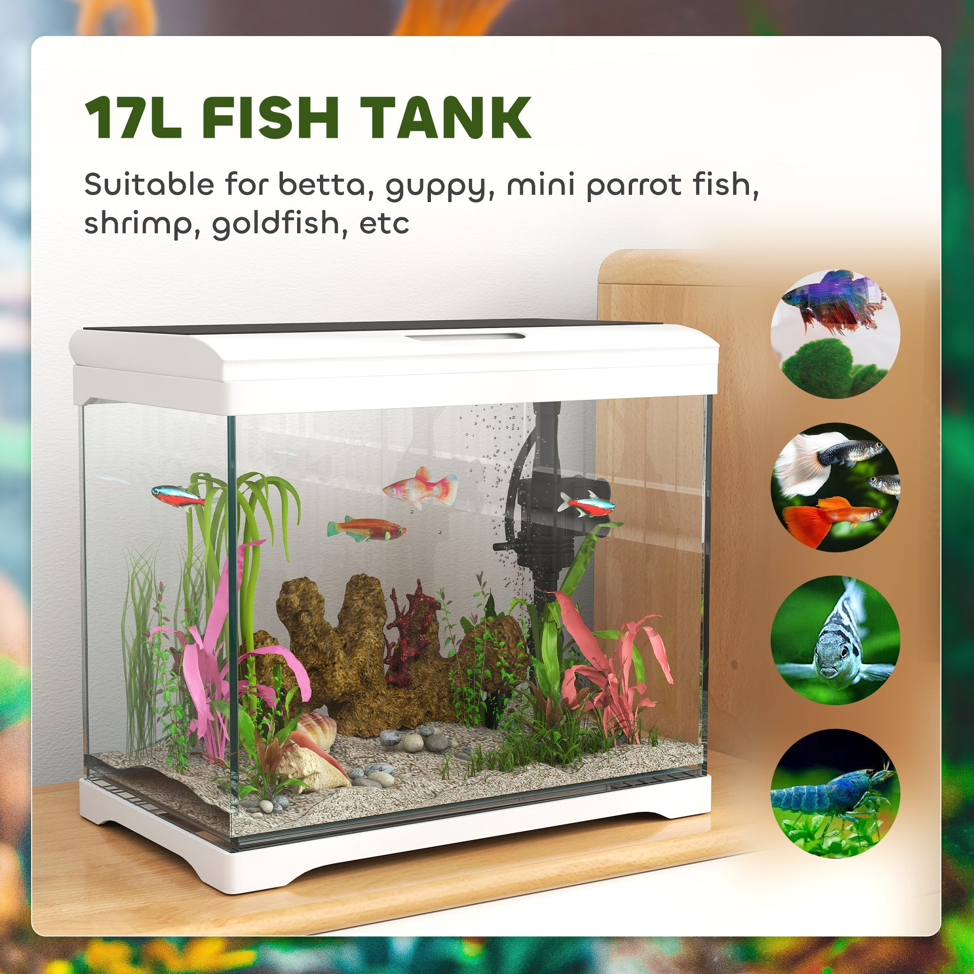 17L Glass Fish Tank with Filter System, LED Light, Water Pump, for Betta, Goldfish, Shrimps, White-4