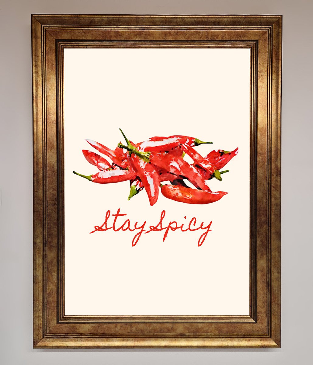 Stay Spicy Framed Print-7